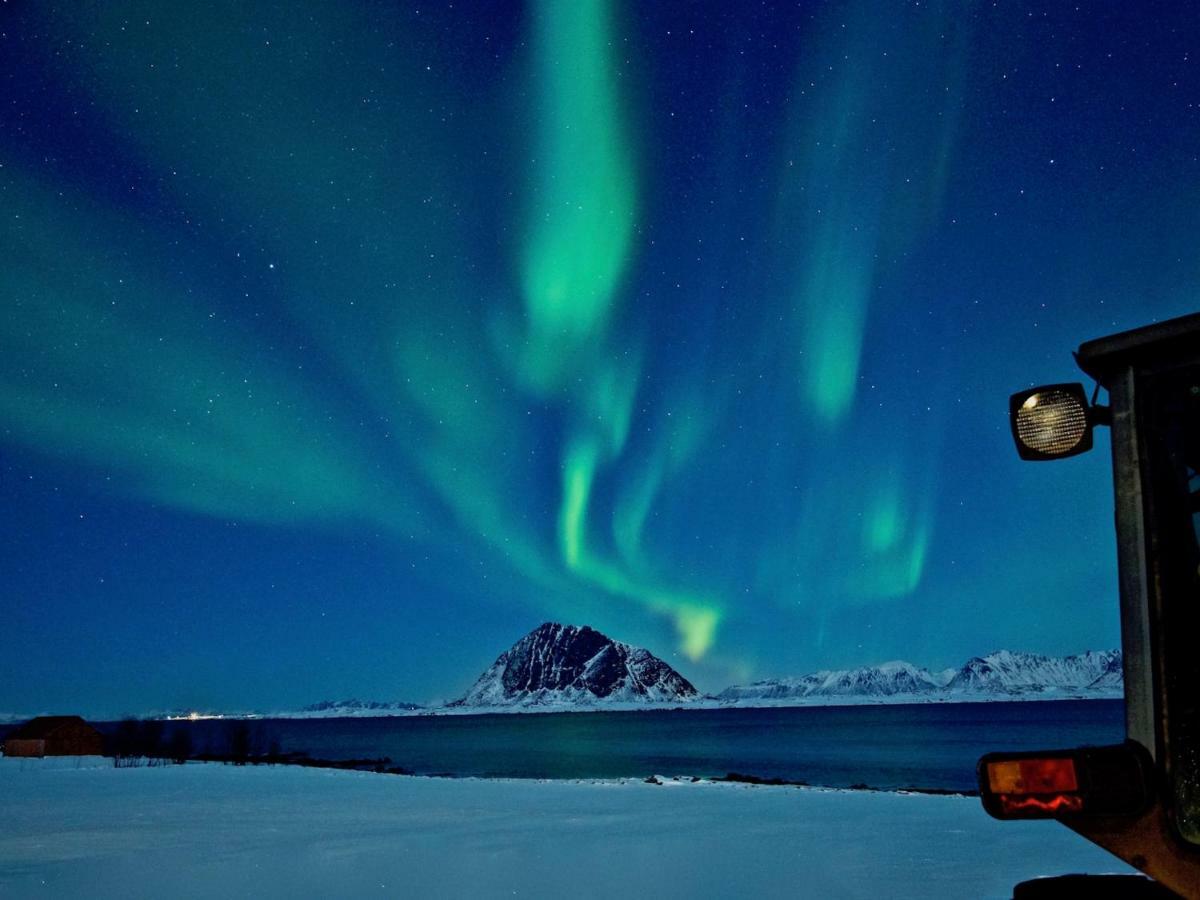 Elstad Farm Lofoten Bostad Exteriér fotografie